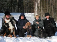 клуб собаководства Восток в Ижевске