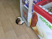 АЗС ННК в Хабаровске