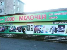 магазин 1000 мелочей в Артеме