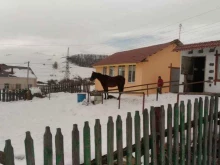 Холмогоры, Холмогорская, 15 