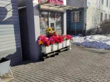 цветочный магазин Белая камелия в Щербинке