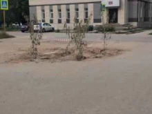 Компьютерные курсы Академия детства в Боре