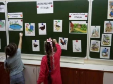группа предшкольной подготовки Дошколёнок в Перми