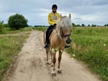 частная школа верховой езды Парково в Ярославле