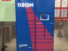 Ozon, проспект Обуховской Обороны, 116 