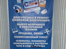 фирма Сервис про в Березниках