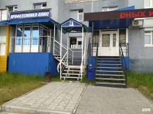 компания Профессионал-Плюс в Ноябрьске