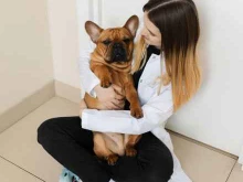 ветеринарная клиника Ветеринарный лазарет в Краснодаре