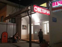 ветеринарная клиника Friendly Vet в Сочи