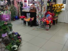 цветочный магазин Белая камелия в Щербинке