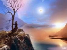 Средняя общеобразовательная школа №4 им. Жака-Ива Кусто с углубленным изучением французского языка, Большой проспект В.О., 88а 