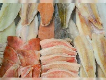 магазин рыбы и морепродуктов Океан в Туле