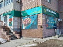 Сувенирные композиции Центр цветов в Нижнем Новгороде
