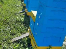 магазин меда и пчеловодства Липовская пасека в Нижнем Новгороде