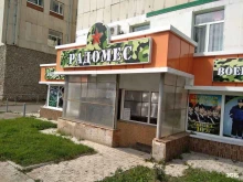 магазин Радомес в Уфе