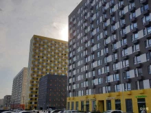 оператор цифровых сервисов lovit)) в Мытищах