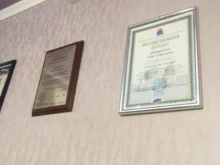 Нотариальные услуги Нотариус Шкороденок А.Г. в Елизово