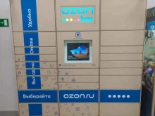 автоматизированный пункт выдачи Ozon Box в Екатеринбурге