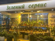 Подарочная упаковка Зелёный сервис в Владимире