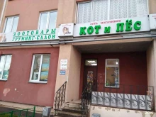 магазин зоотоваров Кот и Пёс в Иваново