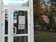 Подарочная упаковка Галерея цветов в Ногинске