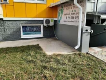 Ремонт мобильных телефонов Чип в Анапе