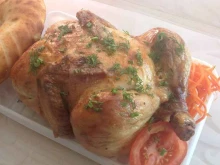 Быстрое питание Курочка с курдюмской в Саратове