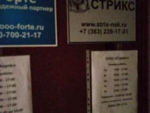 Монтаж охранно-пожарных систем Стрикс в Новосибирске