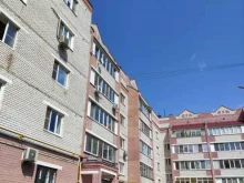 Лотос, улица Калинина, 10 