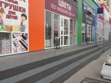 Сувенирные композиции НижЦветТорг в Кстово