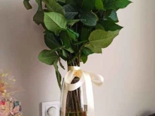 Цветочный магазин, улица Гагарина, 28 к1 