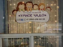 студия развития детей Умное чадо в Перми