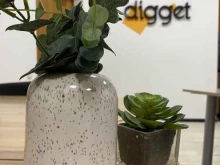 контент-маркетинговое агентство Digget в Белгороде