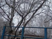 Отделение №3 Амурский аграрный колледж в Благовещенске