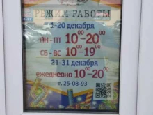 Магазин по продаже новогодних сувениров, Зелёная, 3Б/5 