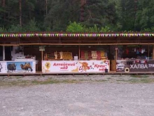 Пасека Еловских, улица Центральная, 73 киоск 