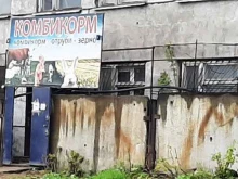 Сельскохозяйственные корма Организация по продаже комбикорма в Боре