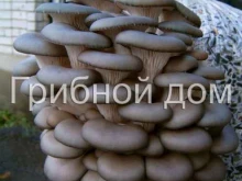 компания Грибной дом в Краснодаре
