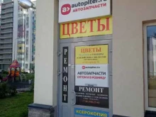 оптово-розничный магазин автозапчастей Autopiter.ru в Кудрово