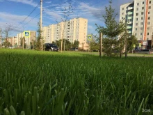 Копировальные услуги Сбер в Минусинске