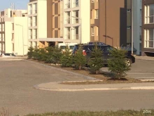 компания по озеленению и благоустройству Владсад в Владивостоке