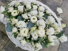 Цветочная база, 6-й микрорайон, 28а 