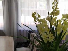 ресторан ARNAMAL в Сочи