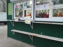 магазин фруктов и овощей Весна в Энгельсе