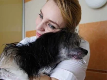 центр по уходу за домашними животными TriO DogCenter в Волгограде