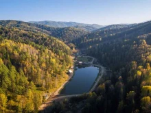 ресторан Лесная сказка в Белокурихе
