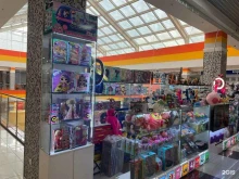магазин радиоуправляемых моделей и игрушек Hobby play gadget в Пятигорске