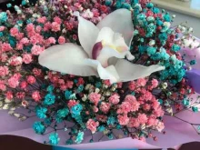 салон цветов Цветочный домик в Иваново