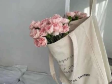 студия одежды Ansvi в Липецке