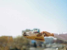 магазин одежды и обуви Off_store в Абакане